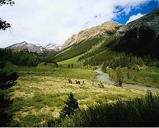 SE漫画《大叔与猫》将推出改编游戏 新作将会非常可爱