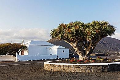 B社高管表示《红霞岛》将成为一款优秀的游戏